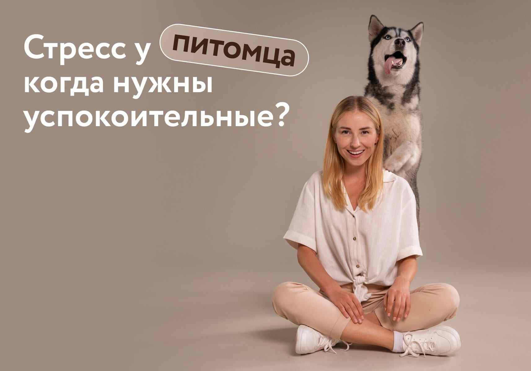Стресс у питомца: когда нужны успокоительные, а когда – нет? Разбираемся с ветеринаром