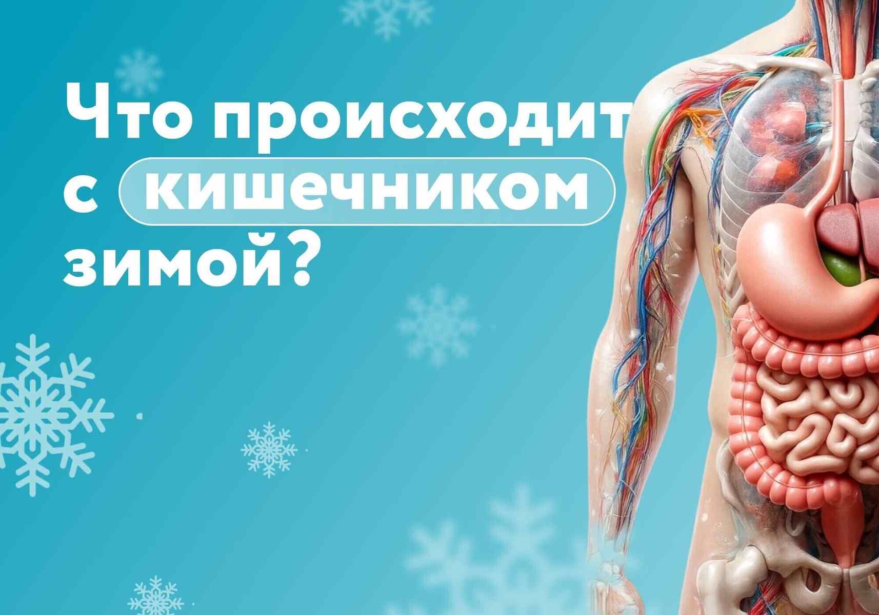 Что происходит с кишечником зимой и почему это влияет на защиту от инфекций?