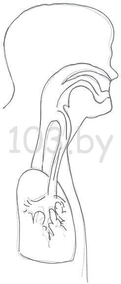 закупорка дыхательных путей.jpg закупорка дыхательных путей.jpg