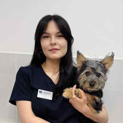 Билд В Могилеве Каталог С Ценами Могилев