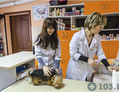 Ветеринарный центр Семь жизней, Галерея - фото 12