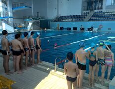 Обучение плаванию Кафедра плавания, Галерея - фото 4