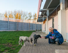 null Гостиница для животных с ветеринарными услугами, Интерьер - фото 2