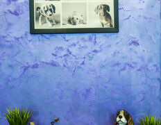 Салон красоты для животных Манифик, Интерьер - фото 15