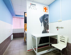 Ветеринарная клиника Стрелка Восток, Галерея - фото 1