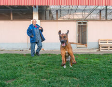 null Гостиница для животных с ветеринарными услугами, Интерьер - фото 11