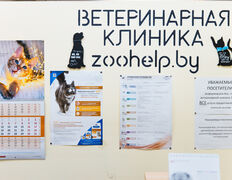 Ветеринарная клиника Zoohelp (Зоохелп), Галерея - фото 4