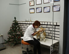 Ветеринарная клиника ЭкспертВет, Галерея - фото 14