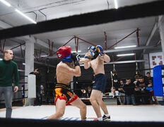 Центр единоборств Fight House (Файт Хаус), Boxing Fight House Green Cup - фото 4