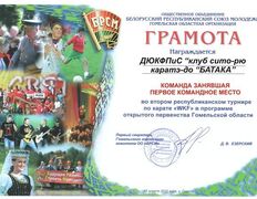 null Гомельское городское молодежное общественное объединение традиционного и спортивного каратэ, Наши награды - фото 6
