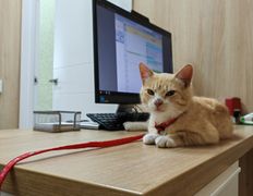 Ветклиника Хвостатый нянь, Интерьер - фото 12