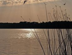 Рыболовно–туристический комплекс Кромань, Водоем, рыбалка - фото 6