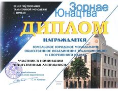 null Гомельское городское молодежное общественное объединение традиционного и спортивного каратэ, Наши награды - фото 4