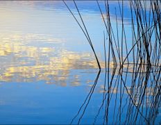 Рыболовно–туристический комплекс Кромань, Водоем, рыбалка - фото 8