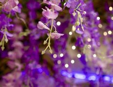 Студия красоты INTUITION (Интуишн), Галерея - фото 10