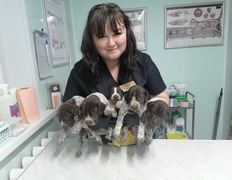 Ветеринарная клиника СимбаВет, Галерея - фото 6