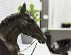 Салон красоты GrandMasters (Гранд мастерс), Интерьер - фото 6