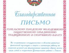 null Гомельское городское молодежное общественное объединение традиционного и спортивного каратэ, Наши награды - фото 9