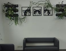 Ветеринарная клиника Минина Плюс, Галерея - фото 1