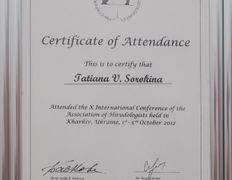 Медицинский кабинет Гируда Плюс, Интерьер - фото 11