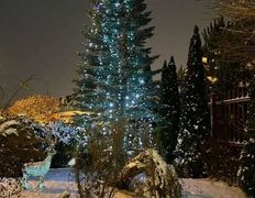 Сауна люкс VIP сауна на Явара и Калины, Интерьер - фото 8