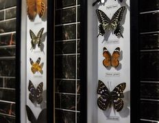 Салон красоты GrandMasters (Гранд мастерс), Интерьер - фото 10