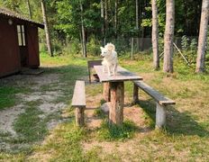 Рыболовно–туристический комплекс Кромань, 	Территория и природа - фото 8