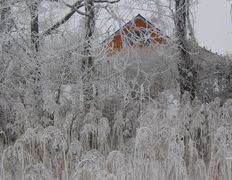 null Коттедж на озере Должа, Рыбалка - фото 16