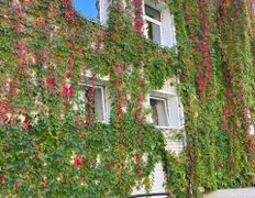 Санаторий Магистральный, Территория - фото 6