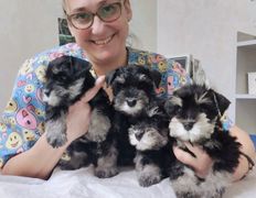 Ветклиника МогВетЛига, МогВетЛига - фото 16