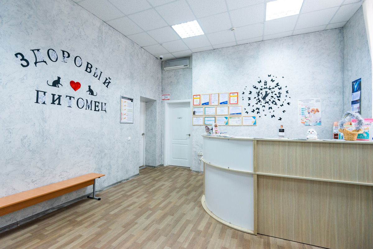 Ветеринарная клиника «Здоровый питомец» на улице Серафимовича, Минск — фото 3