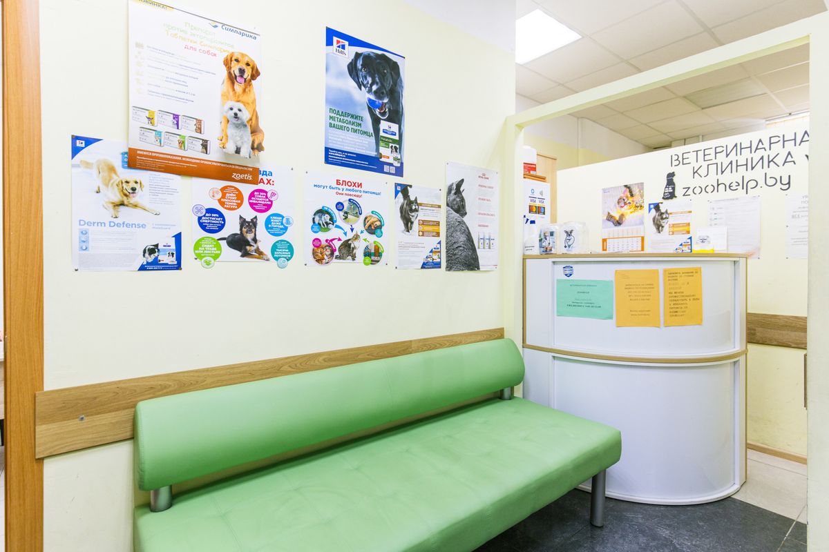 Ветеринарная клиника «ZooHelp» на улице Варвашени, Минск — фото 2