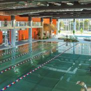 Мандарин - фото 3