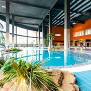 Мандарин - фото 6