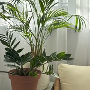 Svetlana Kulesho Beauty Studio - фото 5