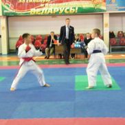 Объединение спортивного каратэ - фото 5