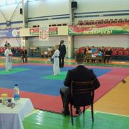 Объединение спортивного каратэ - фото 6