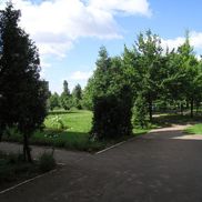 Республиканский научно-практический центр психического здоровья