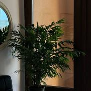 Tori Lozovaya Women's Studio