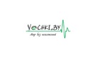 Интернет-магазин контактных линз и средств по уходу «Vochki.by (Вочки.бай)» - фото