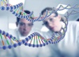 Определение типа биологического материала человека в биологическом пятне — Опирэйт центр генетической диагностики – прайс-лист - фото