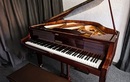 Обучение игре на фортепиано — MASTERS (Мастерс): Школа музыки для всей семьи  – цены на услуги - фото