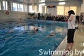 Обучение плаванию взрослых и детей с 5 лет «Swimming.By» - фото