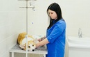Стрижка — ВетДок ветеринарная клиника – прайс-лист - фото