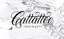 Тату-студия «Cattattoo (Кэттату)» - фото