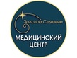 Логотип УЗИ головы — Золотое сечение медицинский центр – прайс-лист - фото лого