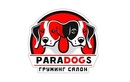 Логотип Линька — ParaDogs (ПараДогс) груминг-салон – прайс-лист - фото лого