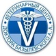 Логотип Дерматология — Ветеринарный центр доктора Базылевского А.А. Филиал «Могилев»  – прайс-лист - фото лого