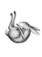 Логотип Обработка и покрытие ногтей — Салоны красоты «Mood Studio (Муд Cтудио)» – цены - фото лого