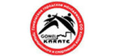 Логотип  «Гомельское городское молодежное общественное объединение традиционного и спортивного каратэ» - фото лого
